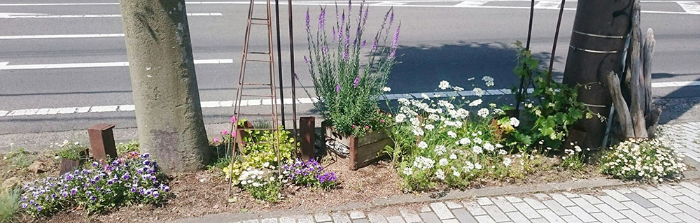 STREET GARDEN